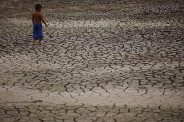 Sungai Amazon Berada di Titik Terendah Kekeringan dalam Seabad Lebih