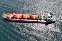 Ukraina Tangguhkan Ekspor Gandum karena Ancaman Ranjau dan Pesawat Tempur