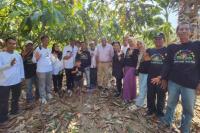 Program Kementan di Luwu Utara Berhasil, Produksi Padi dan Kakao Petani Meningkat