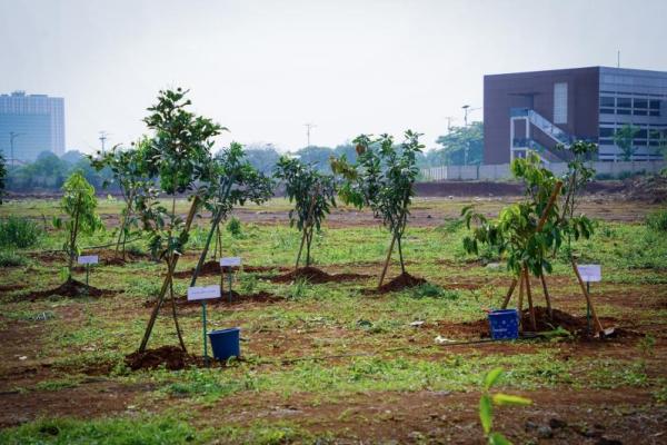 Ada sekitar 600 pohon yang ditanam dengan jenis-jenis yang beragam, seperti pohon pule, pohon trembesi, pohon sawo kecil, dan bungur.