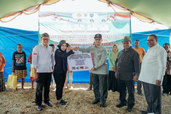 Panen Padi di Manokwari, Wamentan Dorong Jadi Lumbung Pangan Papua Barat