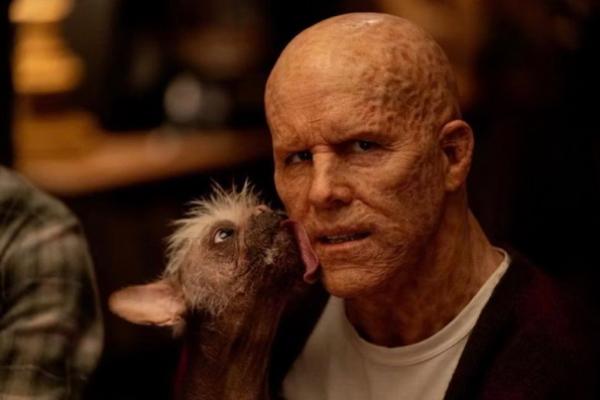 Duo Dinamis, Ryan Reynolds Bekerja Sama dengan Dogpool di Deadpool 3
