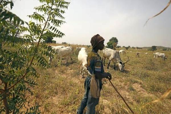 Komunitas Gembala dan Petani Bentrok di Nigeria Tengah, 113 Orang Tewas