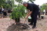 KLHK Gelar Tanam Pohon Serentak di Seluruh Indonesia