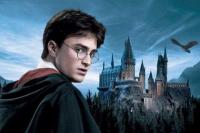 Sukses di Layar Lebar, Serial Harry Potter akan Tayang di HBO Max, Catat Jadwal Rilisnya!