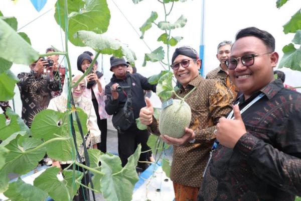 Puluhan Manajer BUMDesa Sulbar Timba Ilmu di Kalasan Valley