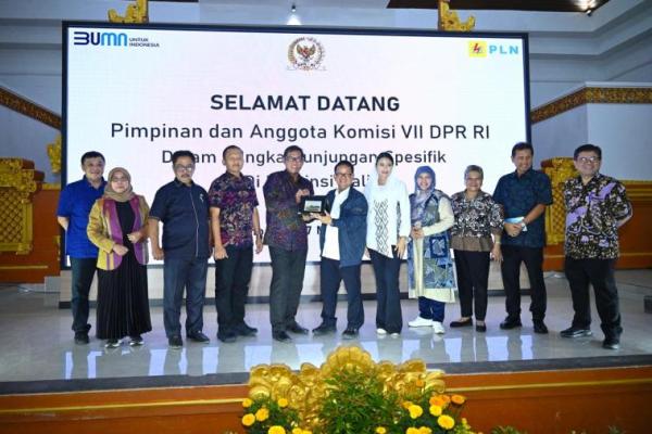 PLTS Nusa Penida mempunyai 3,5 MWac, ini adalah sebuah langkah awal dan strategis bagi transisi energi yang diwujudkan dengan membangun PLTS yang berada di pulau Nusa Penida.