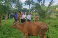 Optimalkan Produktivitas Pertanian, Kementan Dukung P4S jadi Pendorong Kemajuan Perdesaan