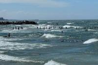 Dibanding Lewat Udara, Badan Bantuan Gaza Sebut Pengiriman Darat Lebih Efisien