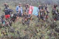 Legislator Minta Pemerintah Duduk Bersama Bahas Penanganan OPM