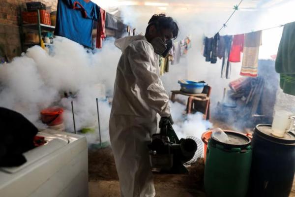 Populasi Nyamuk dan Perubahan Iklim Picu Meningkatnya Kematian akibat DBD di Peru