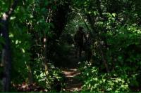 Rusia Klaim Usir Tentara Ukraina dari Wilayah Seluas 547 Kilometer Persegi Tahun Ini