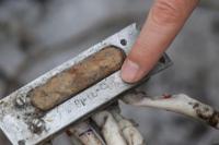 Khawatirkan Poros Moskow-Pyongyang, Kyiv Selidiki Puing-puing Rudal Korea Utara di Ukraina