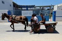 Israel Klaim Siap Tingkatkan Pasokan Air Bersih untuk Warga Gaza