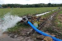 Kementan Tegaskan Program Pompanisasi Berdampak Positif pada Produksi Nasional