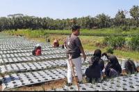 Konten Kreator Desa Kulon Progo Dilatih Produksi Video yang Dukung SDGs Desa