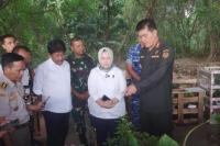 Barantin Kirim 1.325 Jenis Tanaman Herbal Lokal ke TSTH2 Sumut