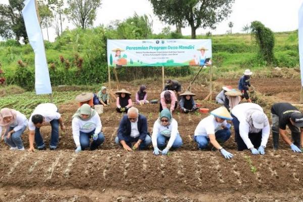 Program ini diharapkan dapat menjamin pasokan bahan makanan yang akan disalurkan ke kapal-kapal penumpang PELNI.