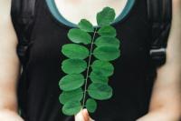 7 Rebusan Daun yang Bisa Menurunkan Darah Tinggi Secara Alami