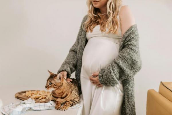Bagi pecinta kucing, mungkin pernah mendengar rumor bahwa memelihara kucing bisa menyebabkan wanita sulit hamil. Namun, apakah hal ini benar? Berikut penjelasannya
