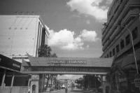 5 Inspirasi Ucapan Imlek 2025 yang Penuh Makna