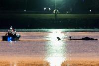 Trump Benar, Data Menunjukkan Helikopter Tertabrak Akibat Terbang Terlalu Tinggi