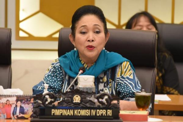 Ketua Komisi IV DPR RI Siti Hediati Hariyadi alias Titiek Soeharto menyatakan bahwa Komisi IV akan memanggil Kementerian KKP untuk membahas kelanjutan investigasi terkait pagar laut di Tangerang.
