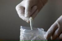 Program Antinarkoba yang Didanai AS di Meksiko Terancam karena Bantuan Dihentikan