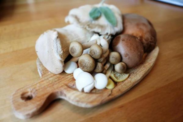 Bolehkah Jamur Disimpan di Kulkas?