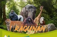 TM Ragunan Target 600 ribu Pengunjung Selama Libur Lebaran