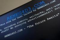 Pejabat DOGE Banggakan Peretasan dan Penyebaran Perangkat Lunak Bajakan