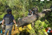 Evakuasi Jenazah Korban Pembantaian di Yahukimo Dilanjutkan