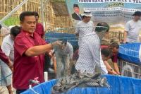 Warga Binaan Lapas Sukamiskin Panen Lele 1 Ton Lebih