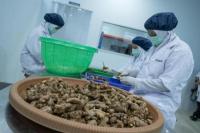 Mendikdasmen Ingin Lulusan SMK Bisa Jadi Pencipta Lapangan Kerja