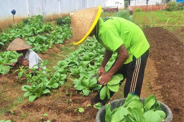 Kanwil Ditjenpas Sumbar Ubah Image Penjara Jadi Lapas Produktif