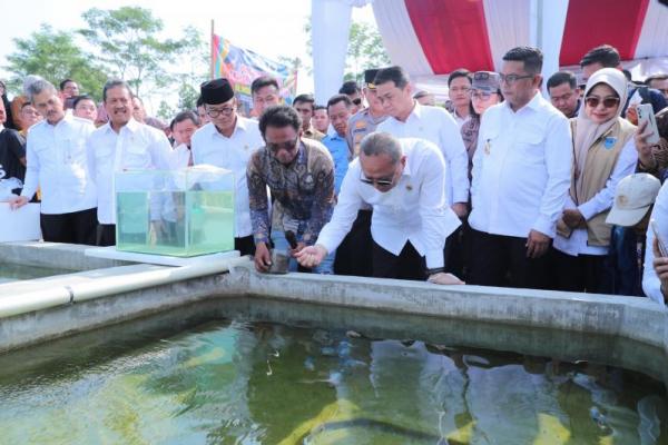 Menko Pangan-Mendes Canangkan Desa Ekspor Ikan Mas di Pandeglang