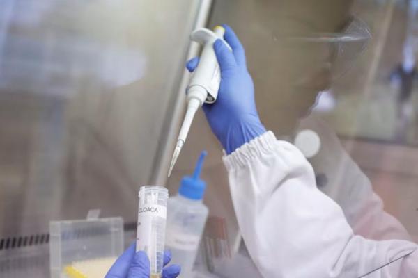 Wabah Flu Burung Pertama Melanda Brasil Picu Larangan Perdagangan