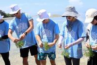 Midea Indonesia Tanam Koral dan Rumput Laut di Kepulauan Seribu