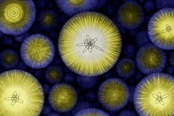 Panpsikisme: Apakah Kesadaran Ada di Mana-Mana, Bahkan di Atom?