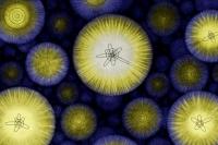 Panpsikisme: Apakah Kesadaran Ada di Mana-Mana, Bahkan di Atom?