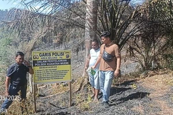 Gercep, Polres Kuantan Singingi Tangkap 3 Orang Pembakar Hutan Lindung