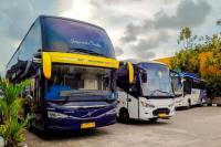 Long Weekend Kenaikan Yesus Kristus, DAMRI Layani 18 Ribu Penumpang