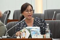 Komisi VI Minta Aktivitas Pertambangan di Raja Ampat Harus Dihentikan