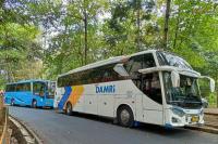 DAMRI Diskon Tiket Bus AKAP Rp50 Ribu, Ini Syaratnya