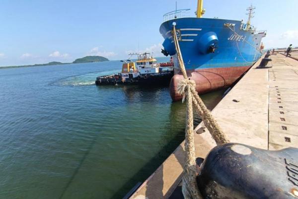 Terminal Kijing Mulai Layanan Bongkar Muat Peti Kemas