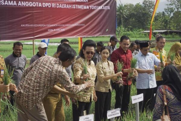 Wakil Ketua DPD RI, Gusti Kanjeng Ratu Hemas mengunjungi para petani di Kabupaten Gunungkidul. Bersama dengan tiga Anggota DPD RI DIY lainnya yakni R.A. Yashinta Sekarwangi Mega, Ir. Ahmad Syauqi Soeratno dan Hilmy Muhammad.