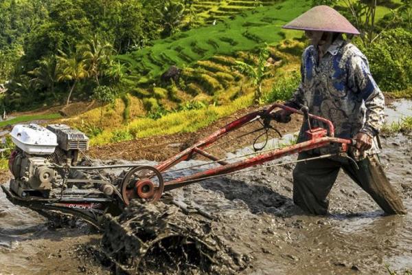 Dorong Ketahanan Pangan Nasional, Kemenperin Perkuat Industri Alsintan