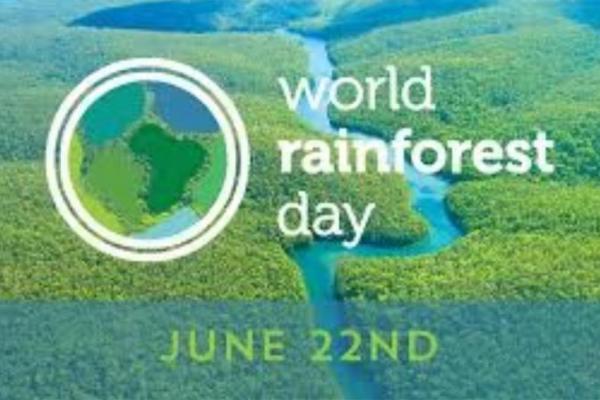 Hari Hutan Hujan Sedunia 2025, Sejarah dan Makna di Baliknya