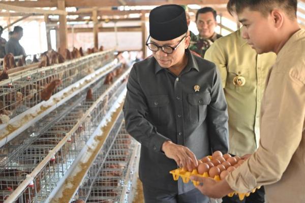 Mendes Yandri Panen Melon dan Telur Ayam yang Dibangun Gunakan Dana Desa