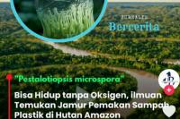 Jamur Pemakan Plastik yang Ditemukan di Amazon Kembali Viral 